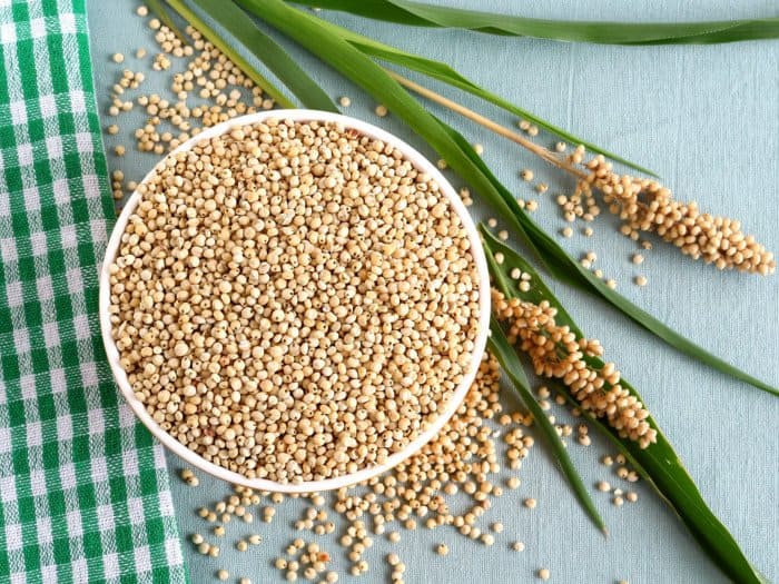 Sorghum seeds