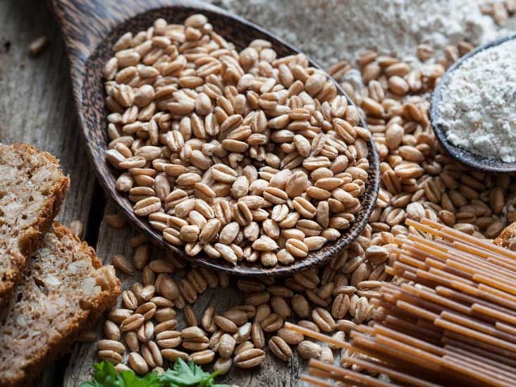 Spelt grainSpelt grain