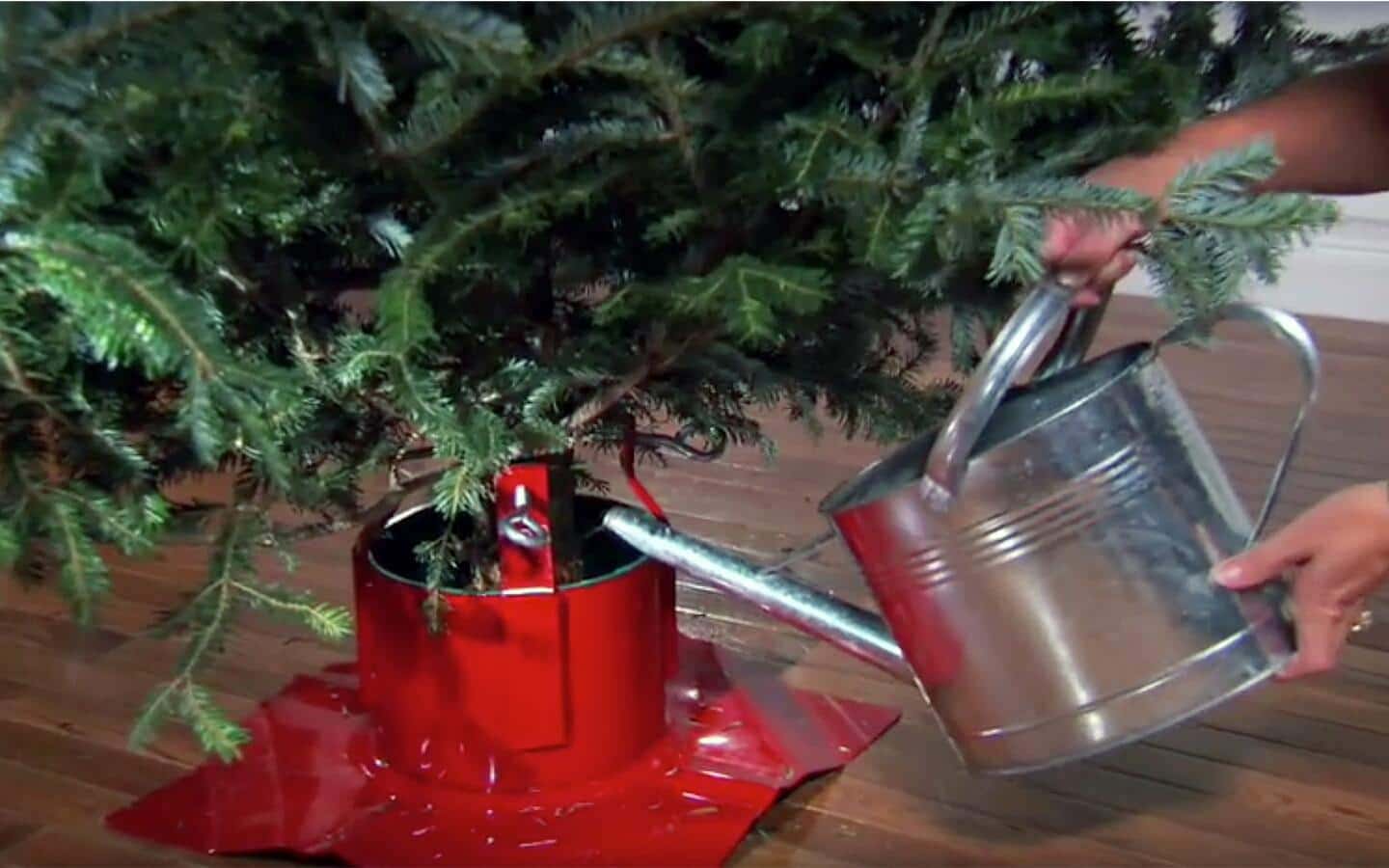 Water Management For Christmas Tree