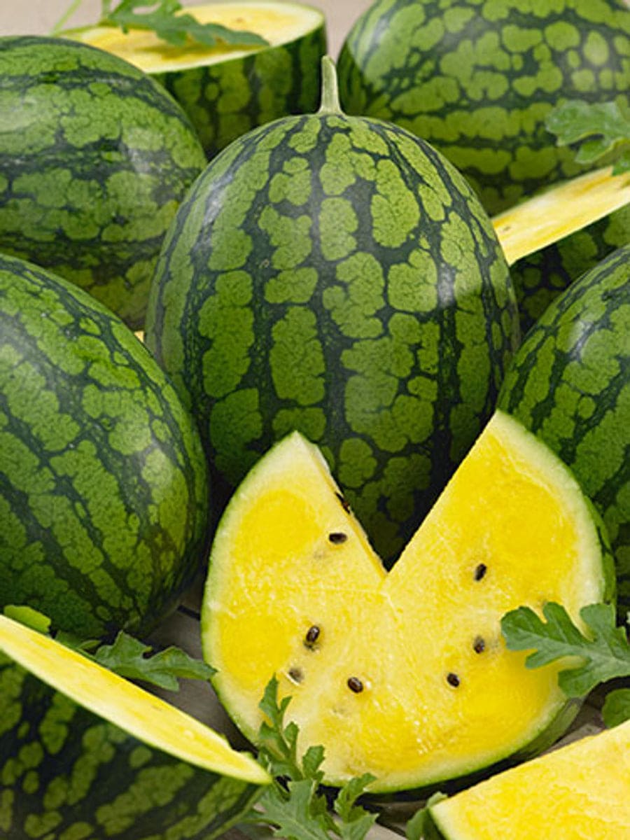 What Is Yellow Watermelon