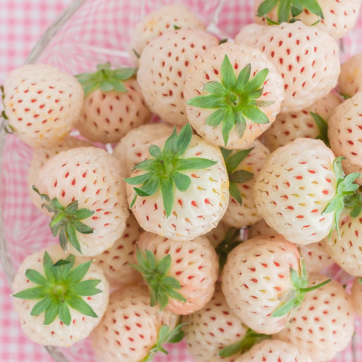 White Strawberries guide