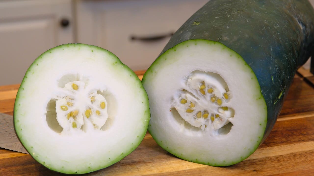 Winter Melon