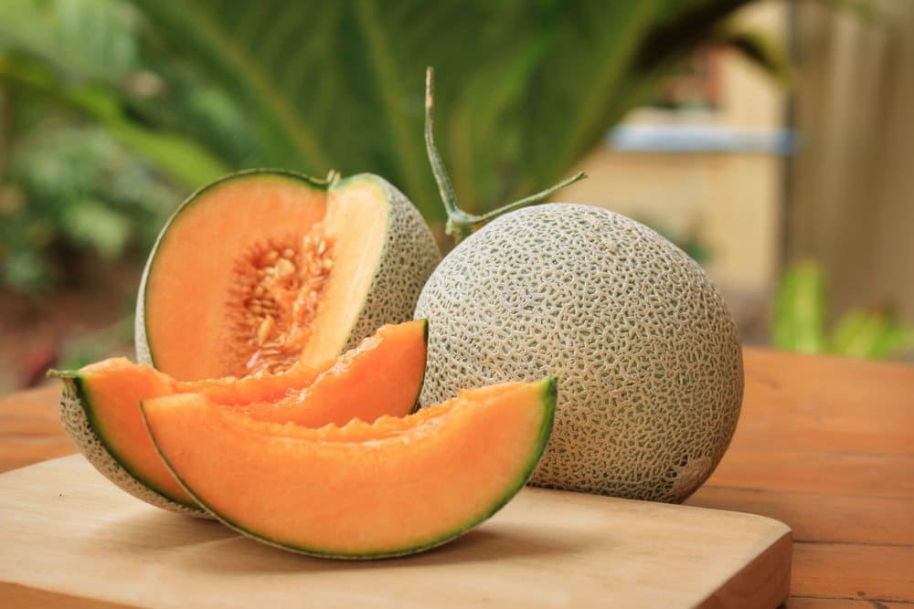 Yubari King melon