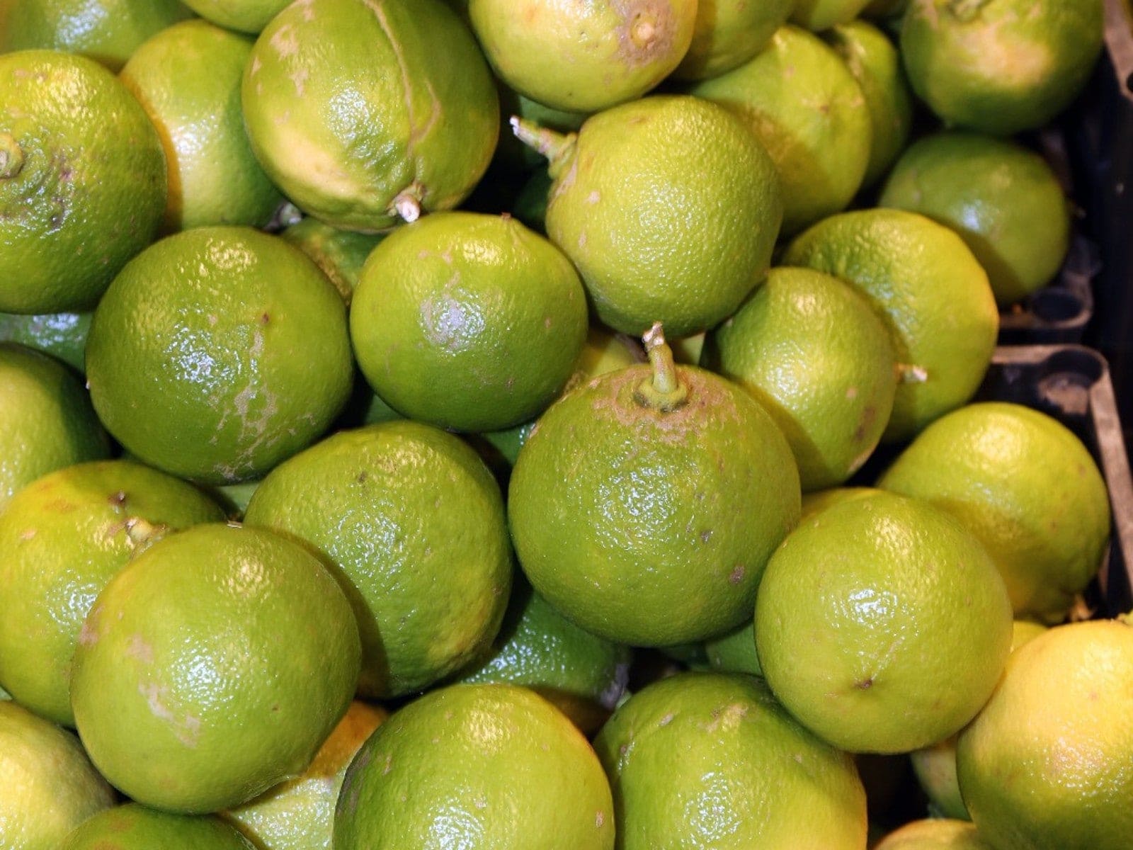 Bergamot oranges