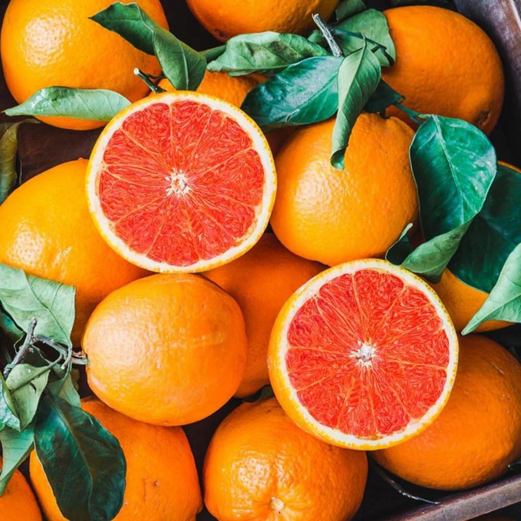 Cara Cara Navel oranges