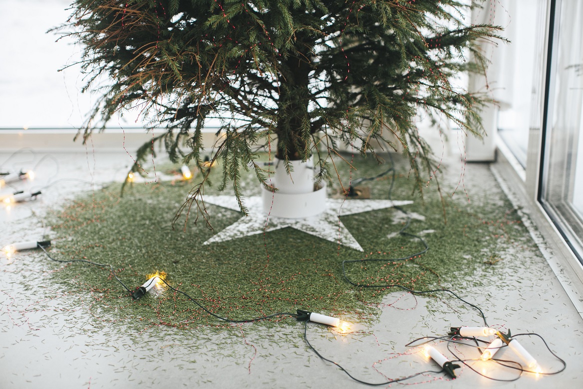 Christmas Tree needle drop