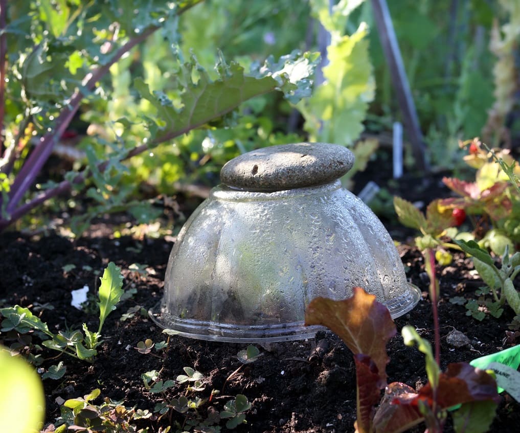 Cloches