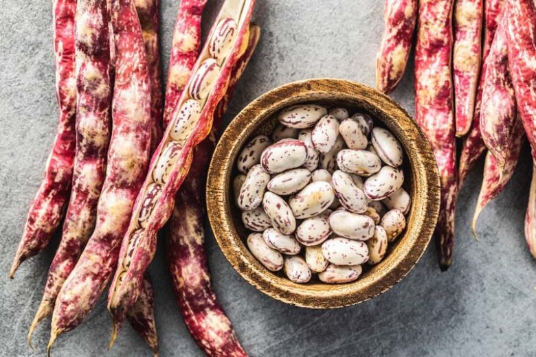 Cranberry beans