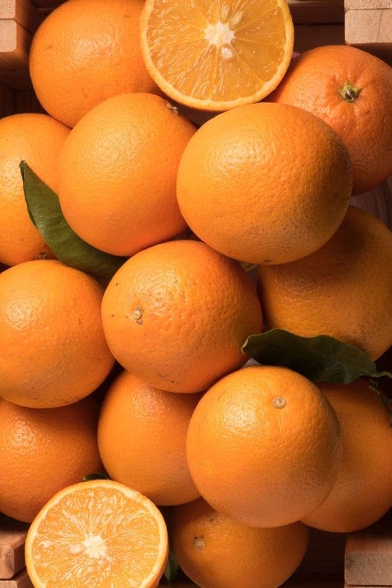 Dream Navel oranges