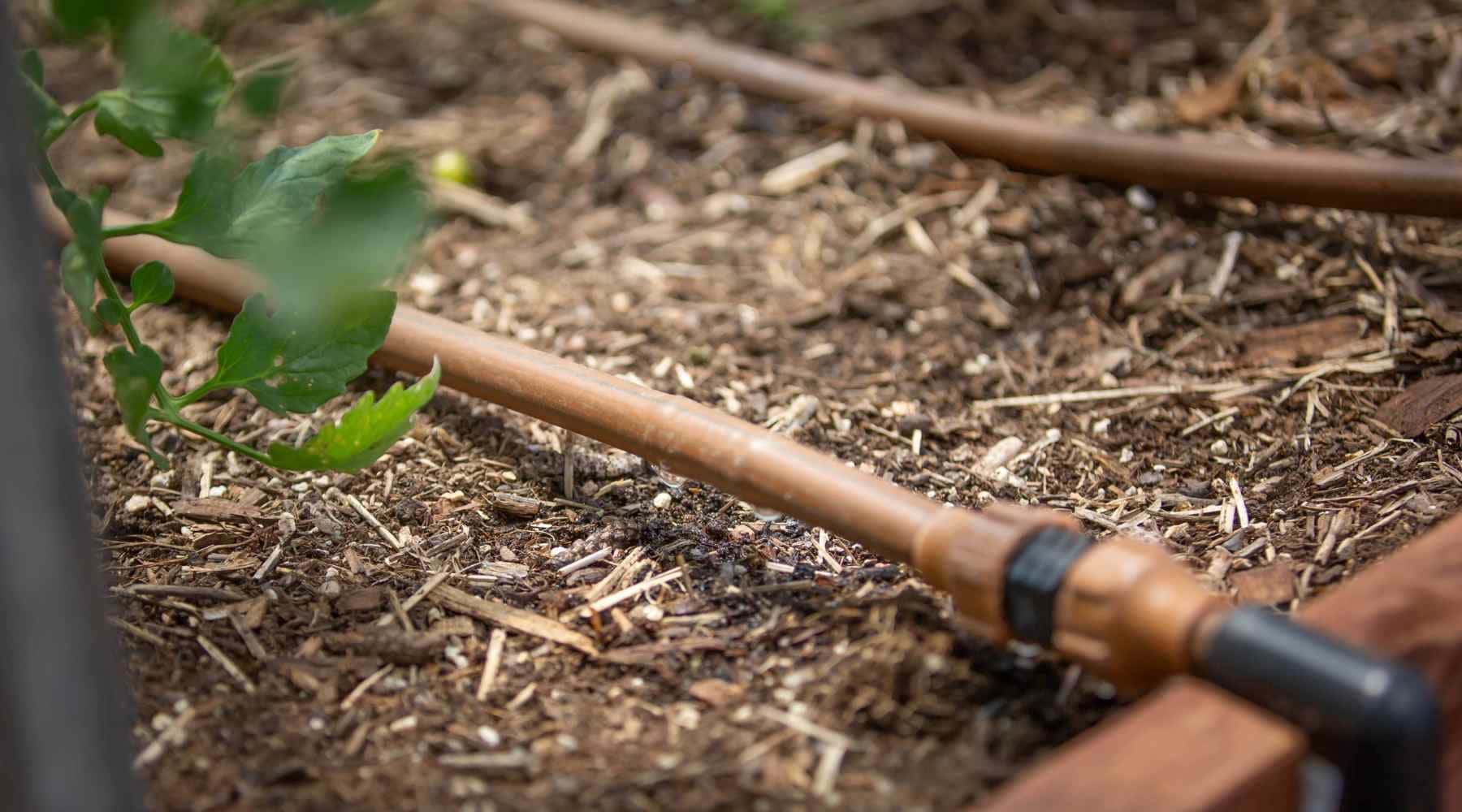 Drip irrigation systems work well for winter gardens