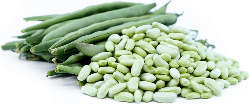 Flageolet beans