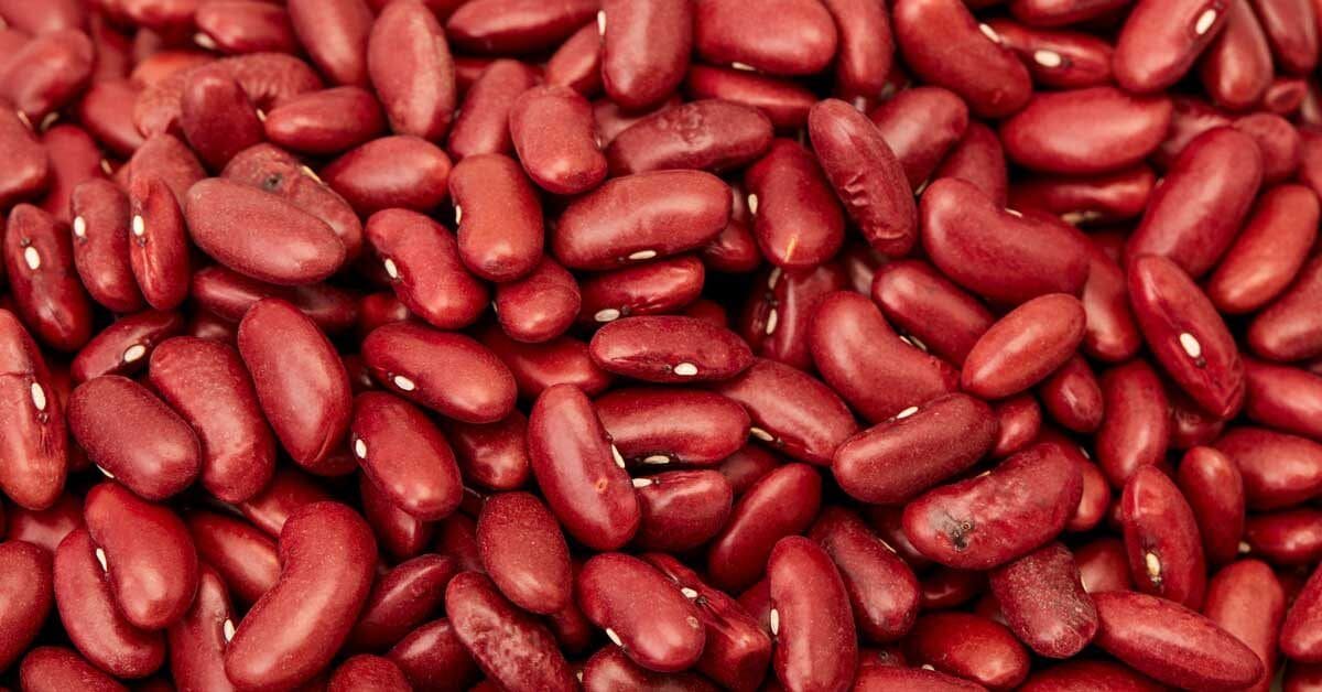 Kidney Beans The Chili Champion