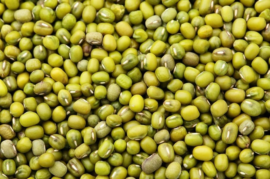 Mung beans