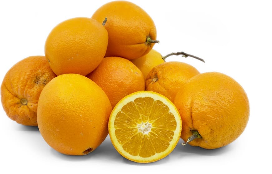 Navelina Navel oranges
