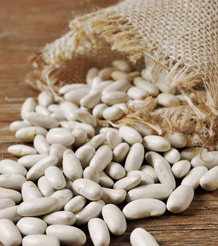 Navy Beans The Small but Mighty