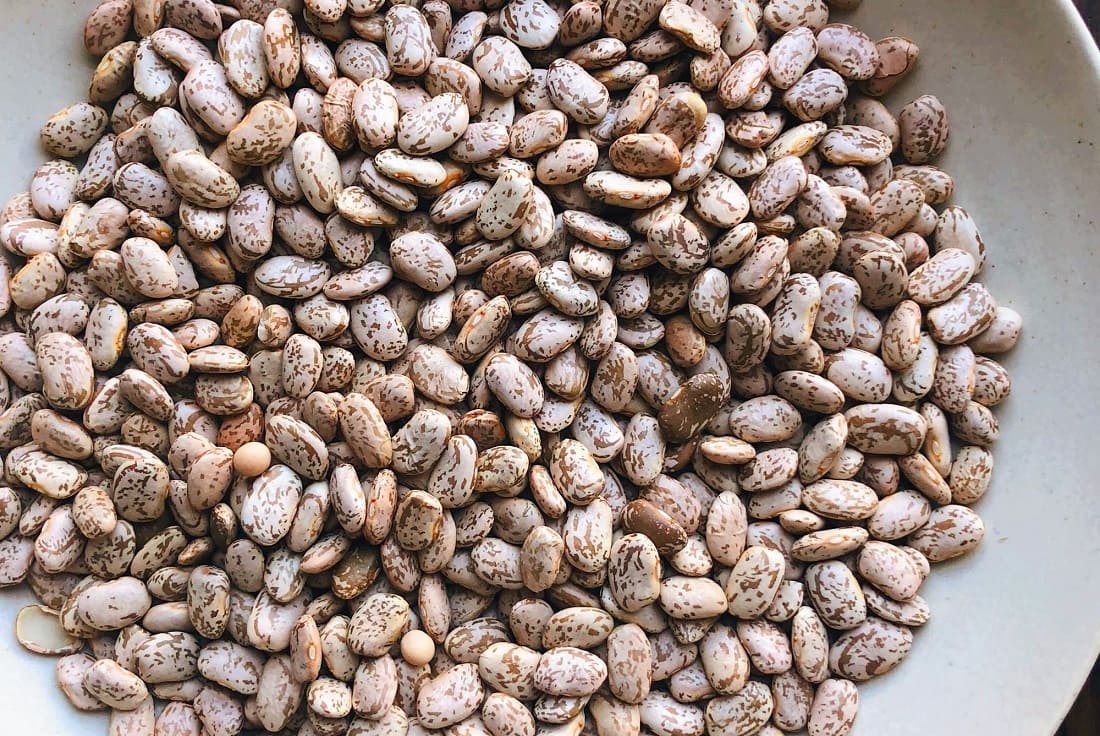Pinto Beans The Southwest Staple