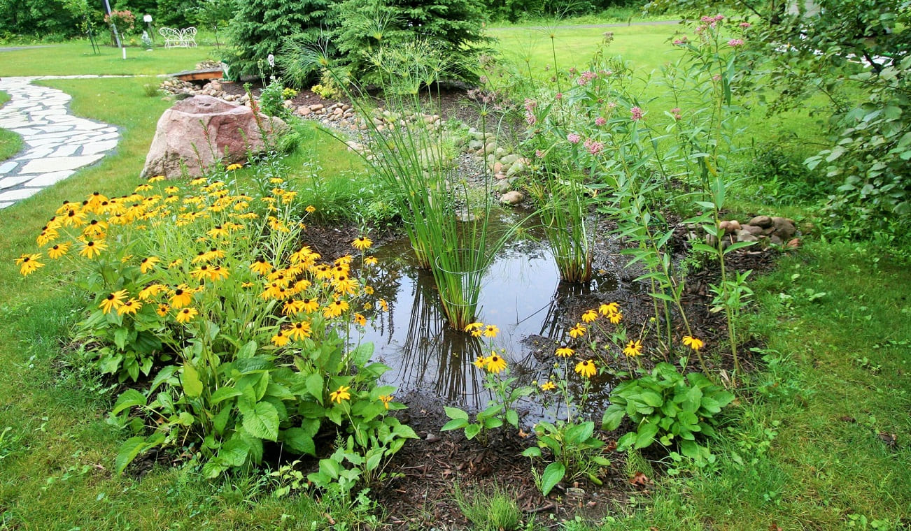 Rain Garden
