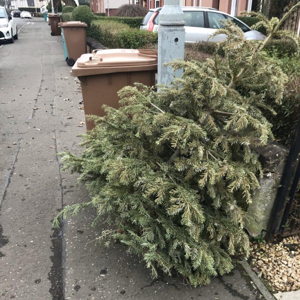 Say Goodbye to Christmas Tree