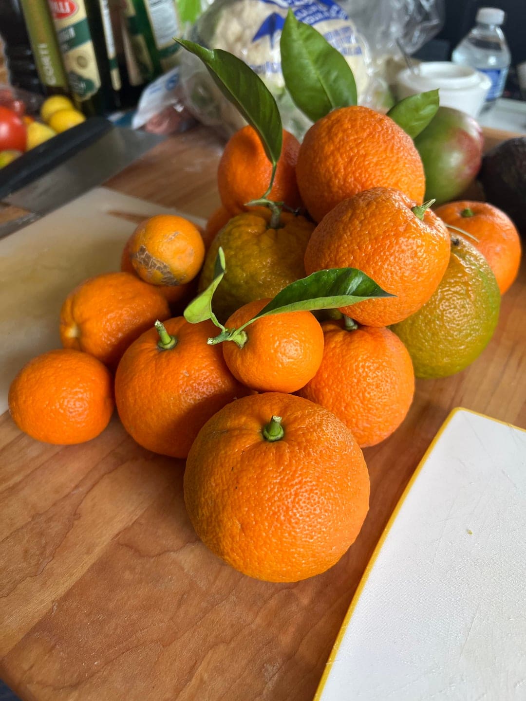 Seville Oranges