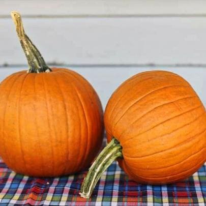 Sugar pumpkins