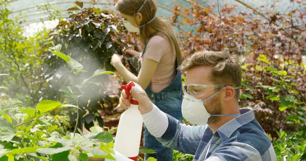 Wearing protective eyewear and gloves during application