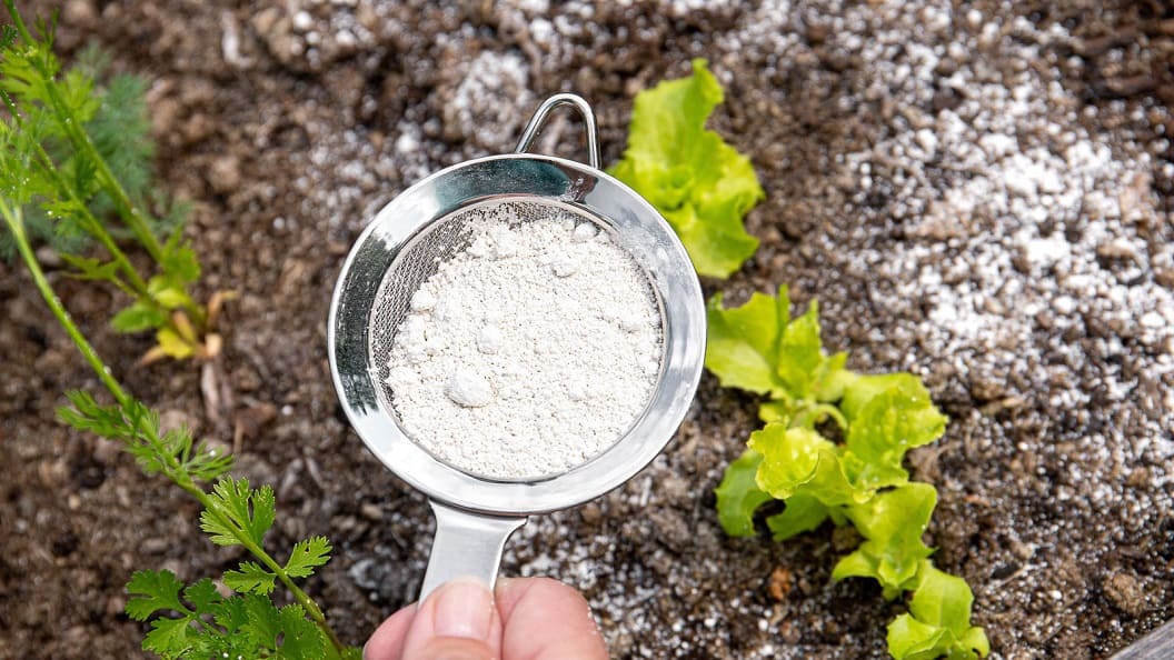 diatomaceous earth for dry applications