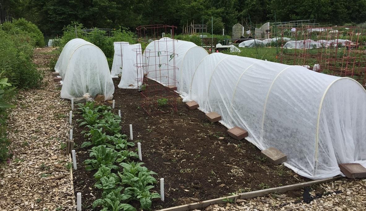row covers