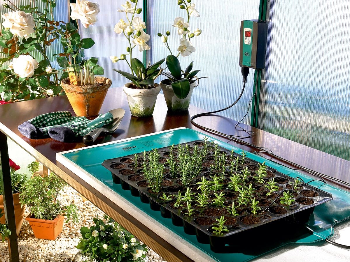 seedling heat mat