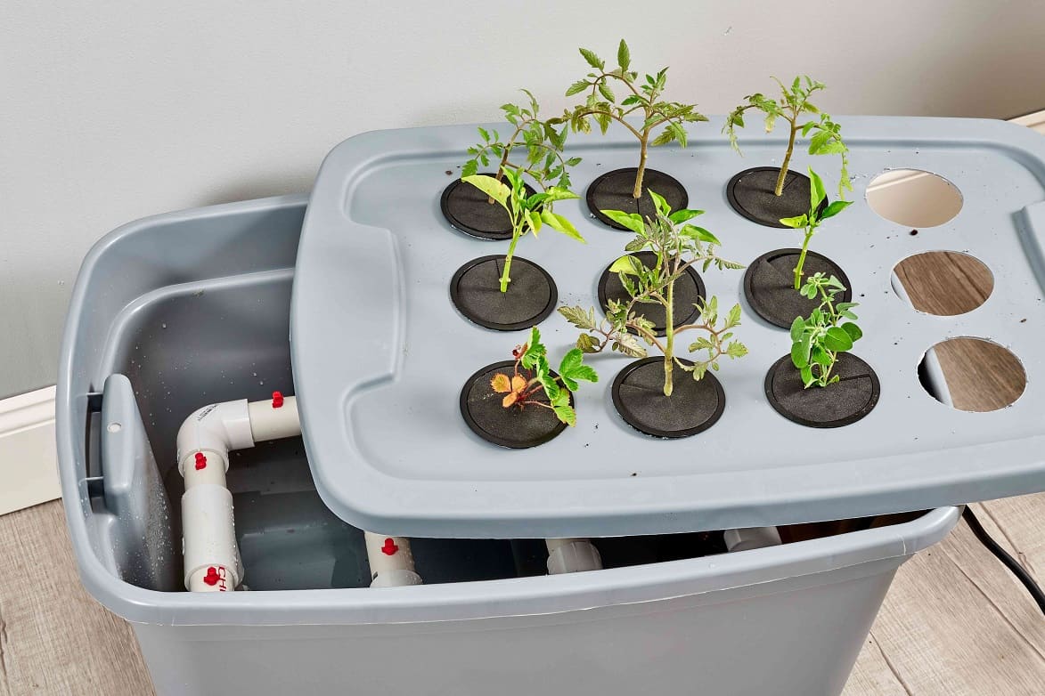 simple DWC system