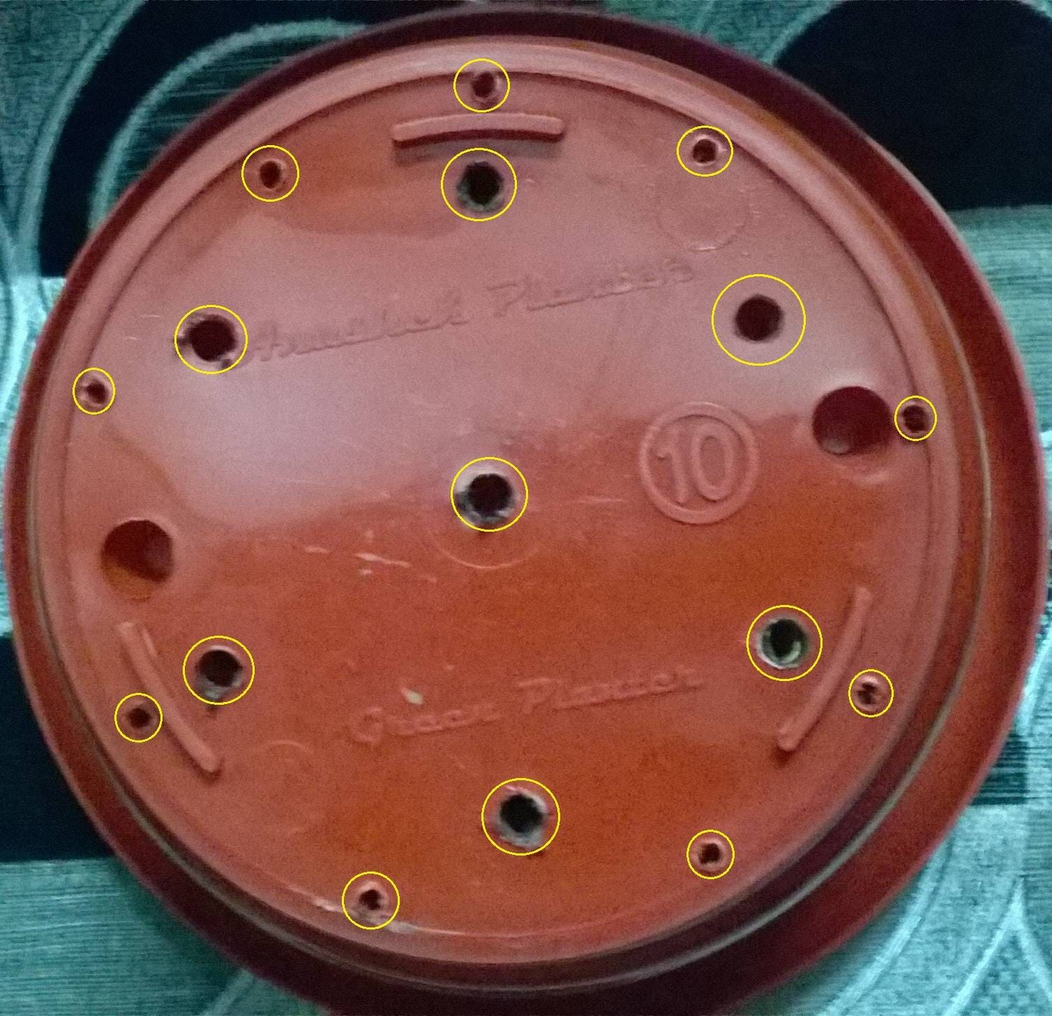 Adequate drainage means multiple holes
