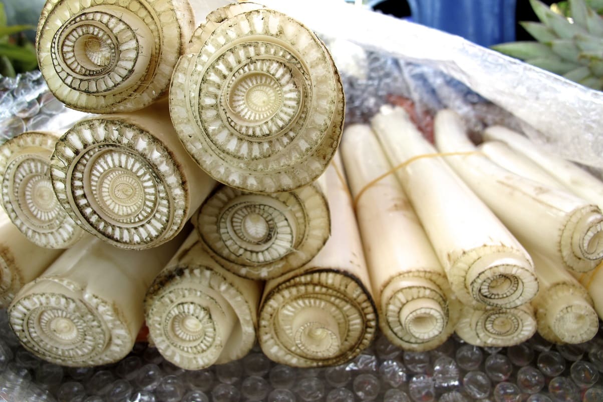 Banana Stems for cooking
