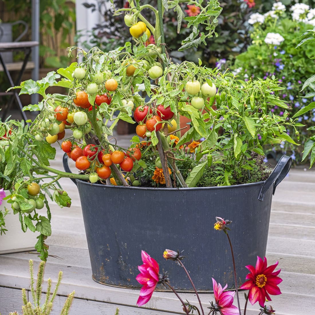 Plastic pot