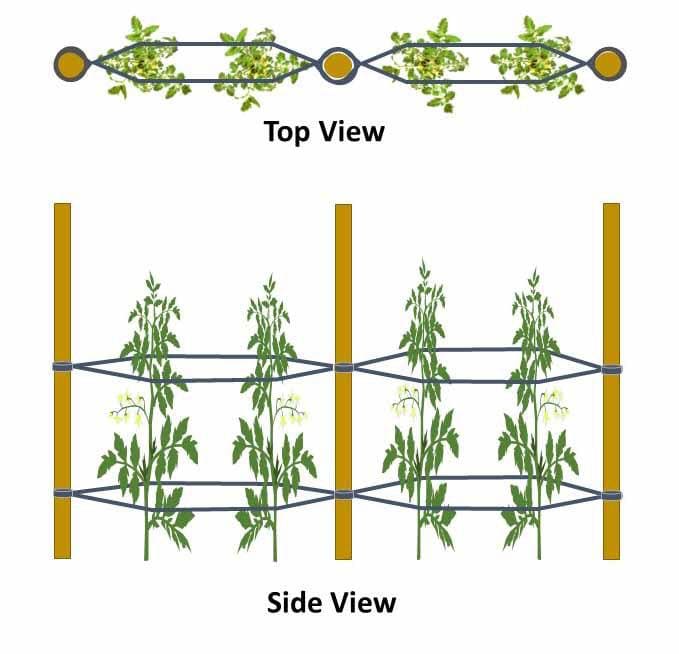 What the Pattern Should Look Like