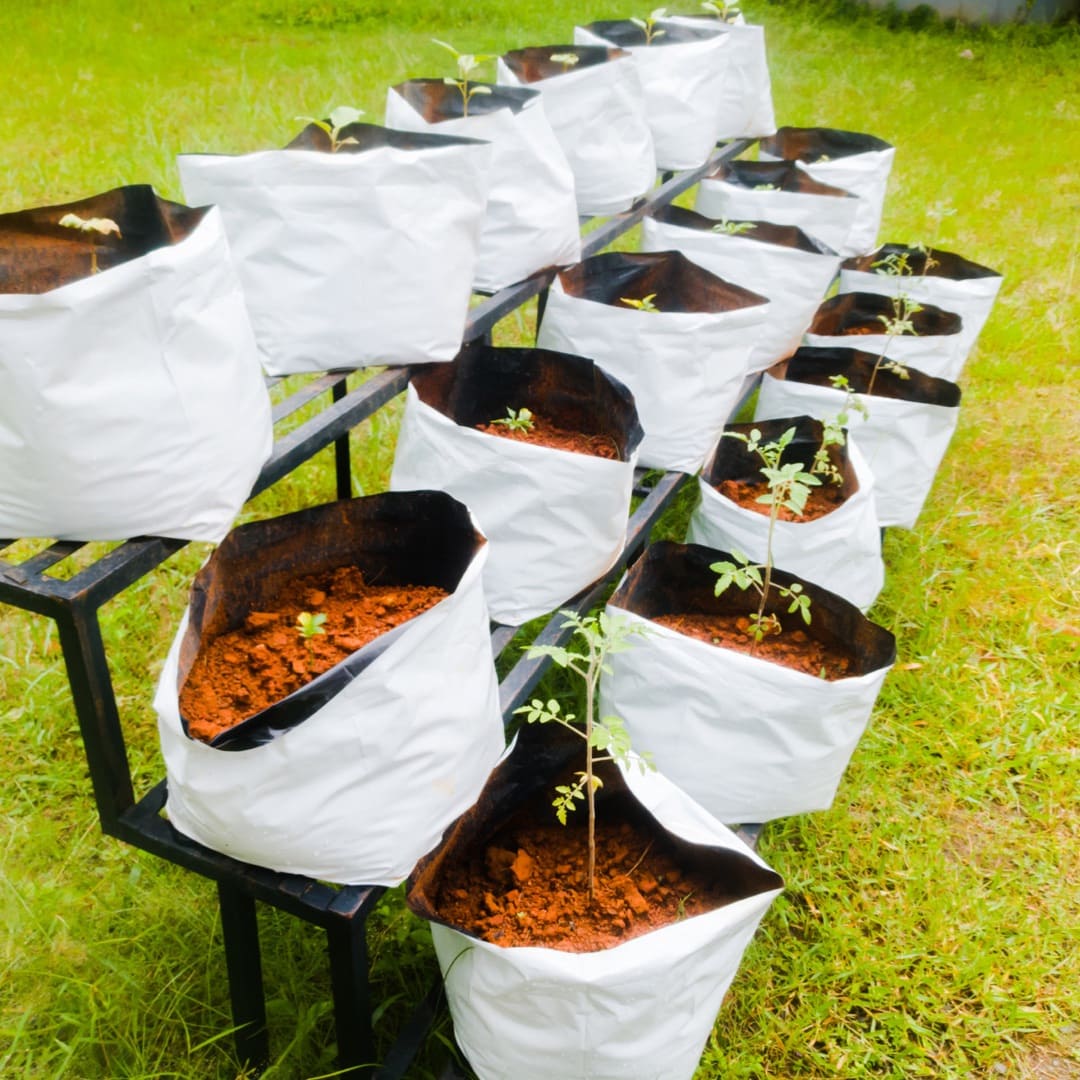 grow bags