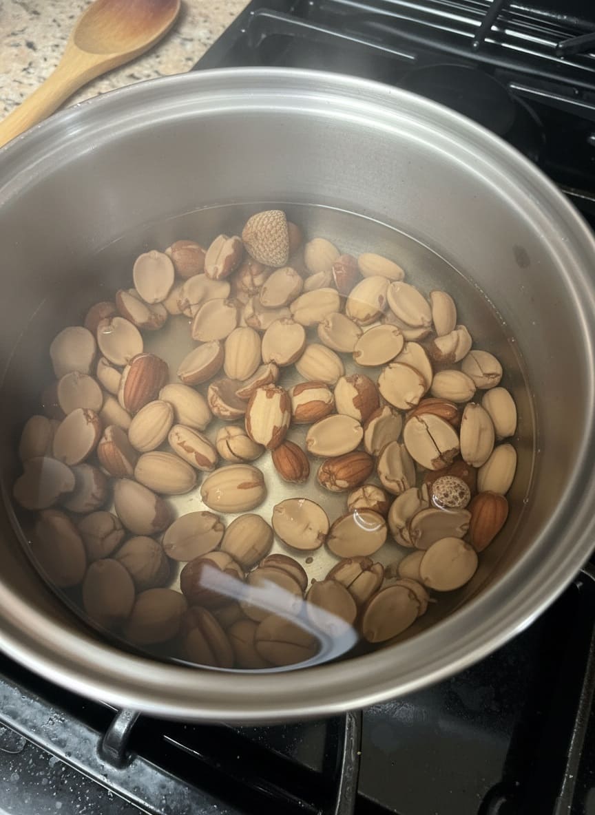 Hot Water Leaching acorns