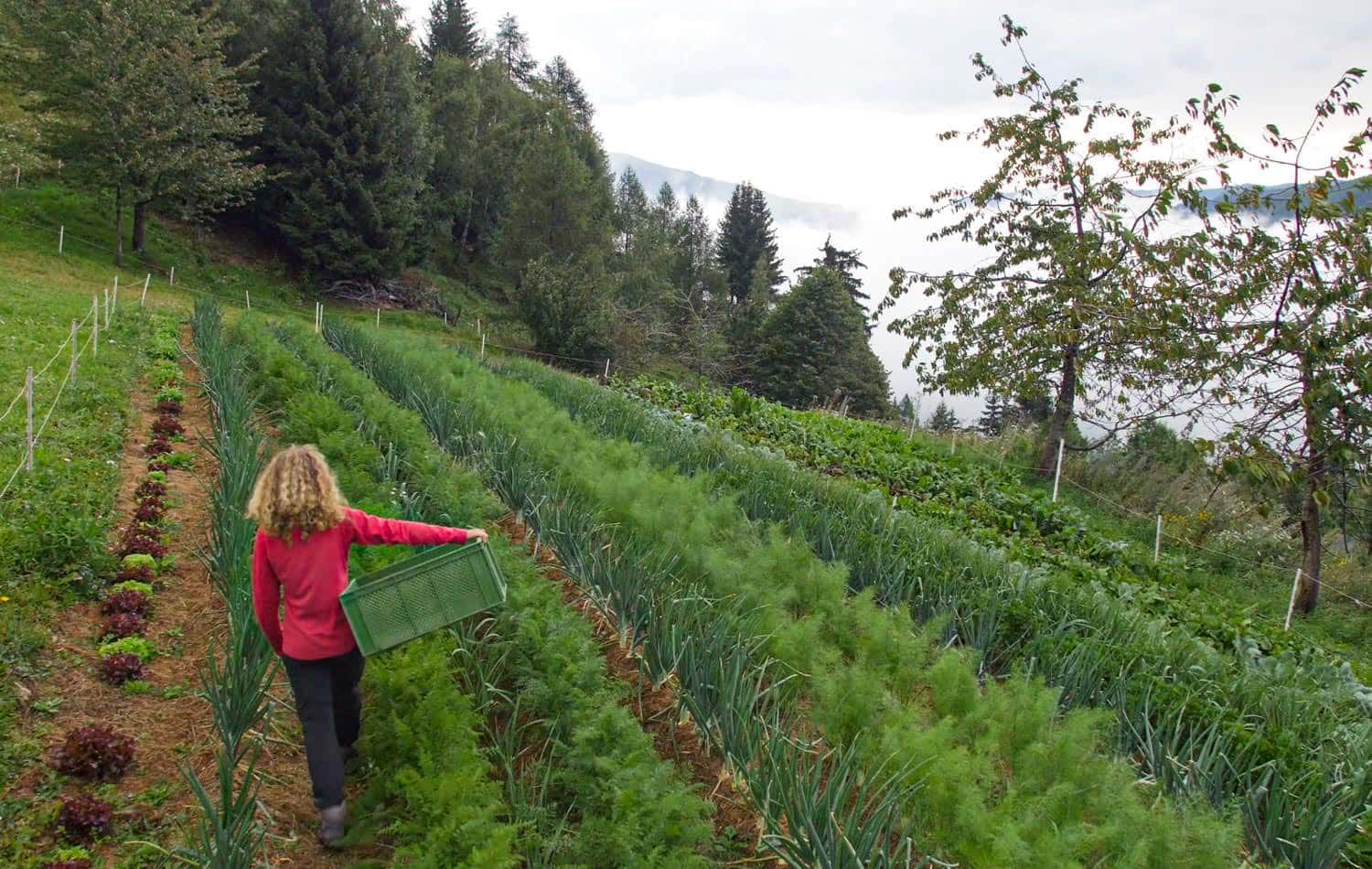 Sepp Holzer's Krameterhof