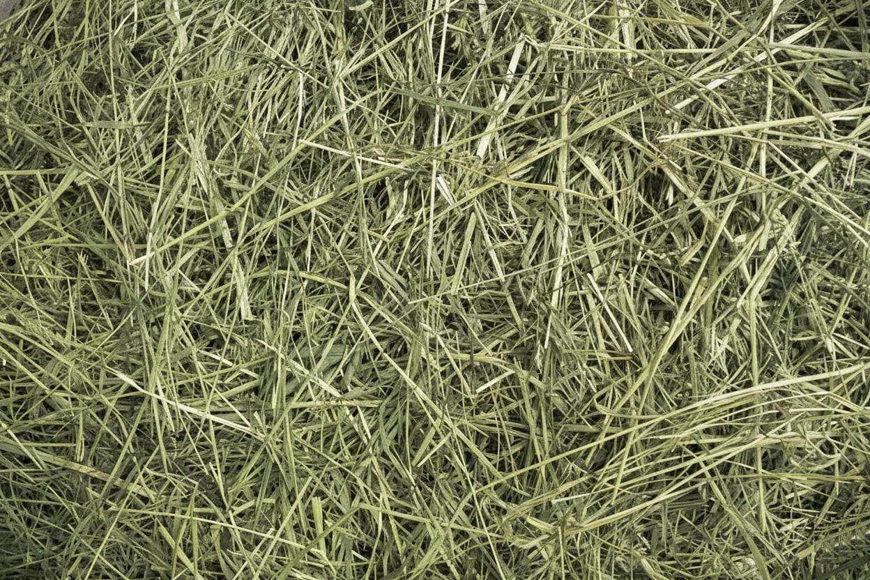 quality hay