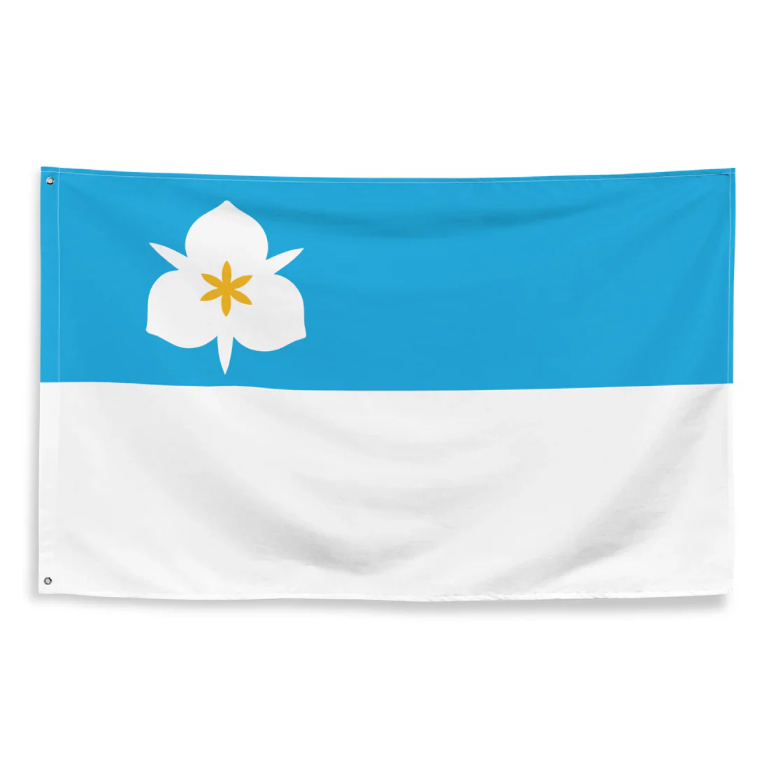 Salt Lake City Flag