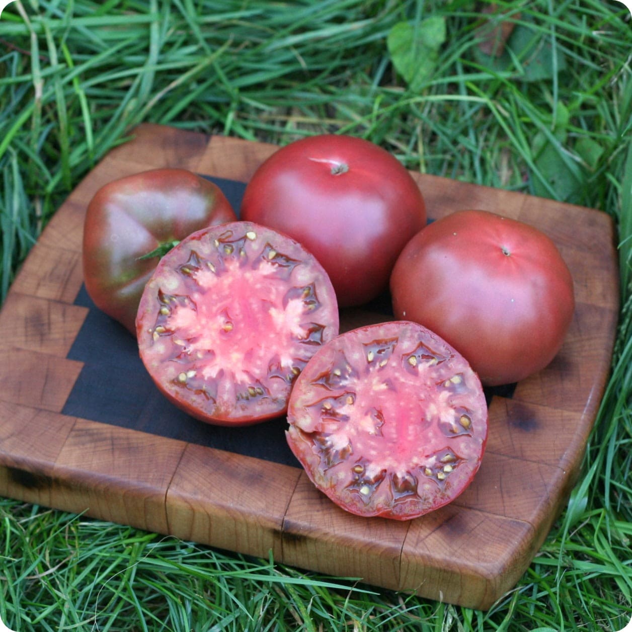 Black Krim