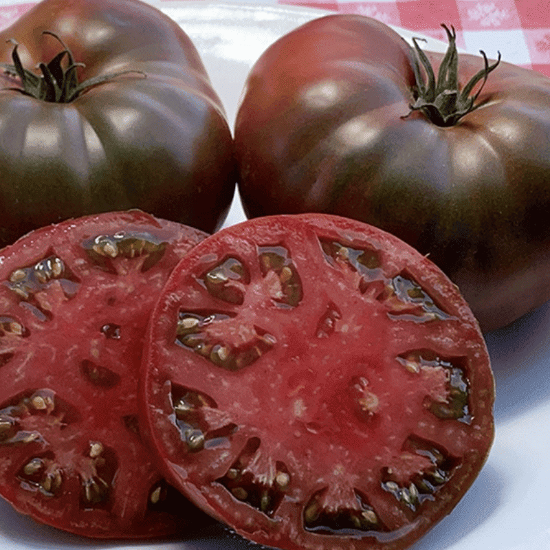 Paul Robeson tomatoes