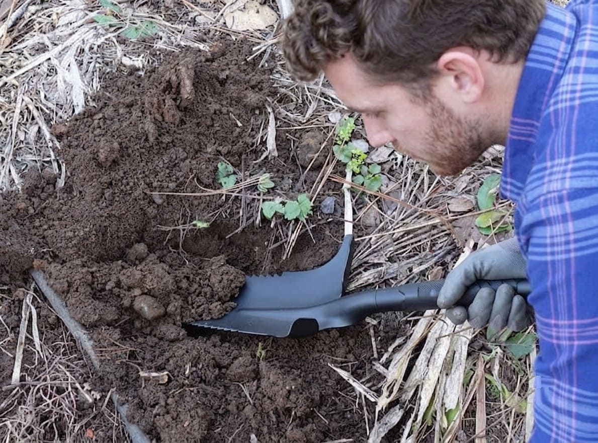 Dig a generous hole to plant a bare-root peony