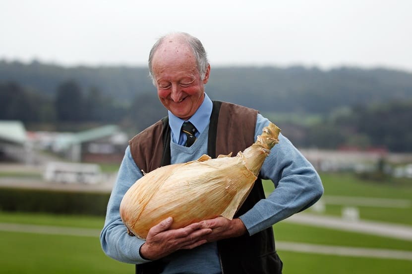 Giant Onion Record