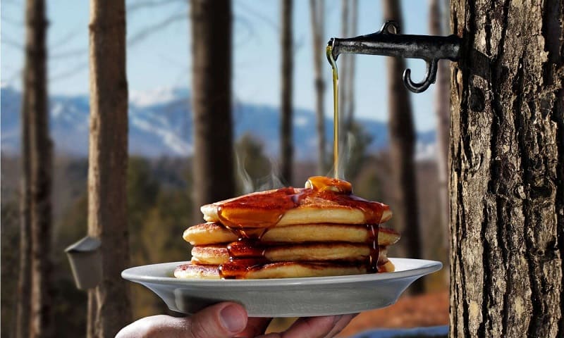Freeze Concentration A Game-Changer for Maple Syrup Makers