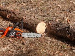 Unleash the Potential of Your Farm with Handcrafted Fence Posts