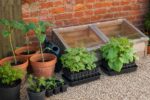 Tabletop Cold Frame How to Build a Cold Frame (and Actually Use It Right)