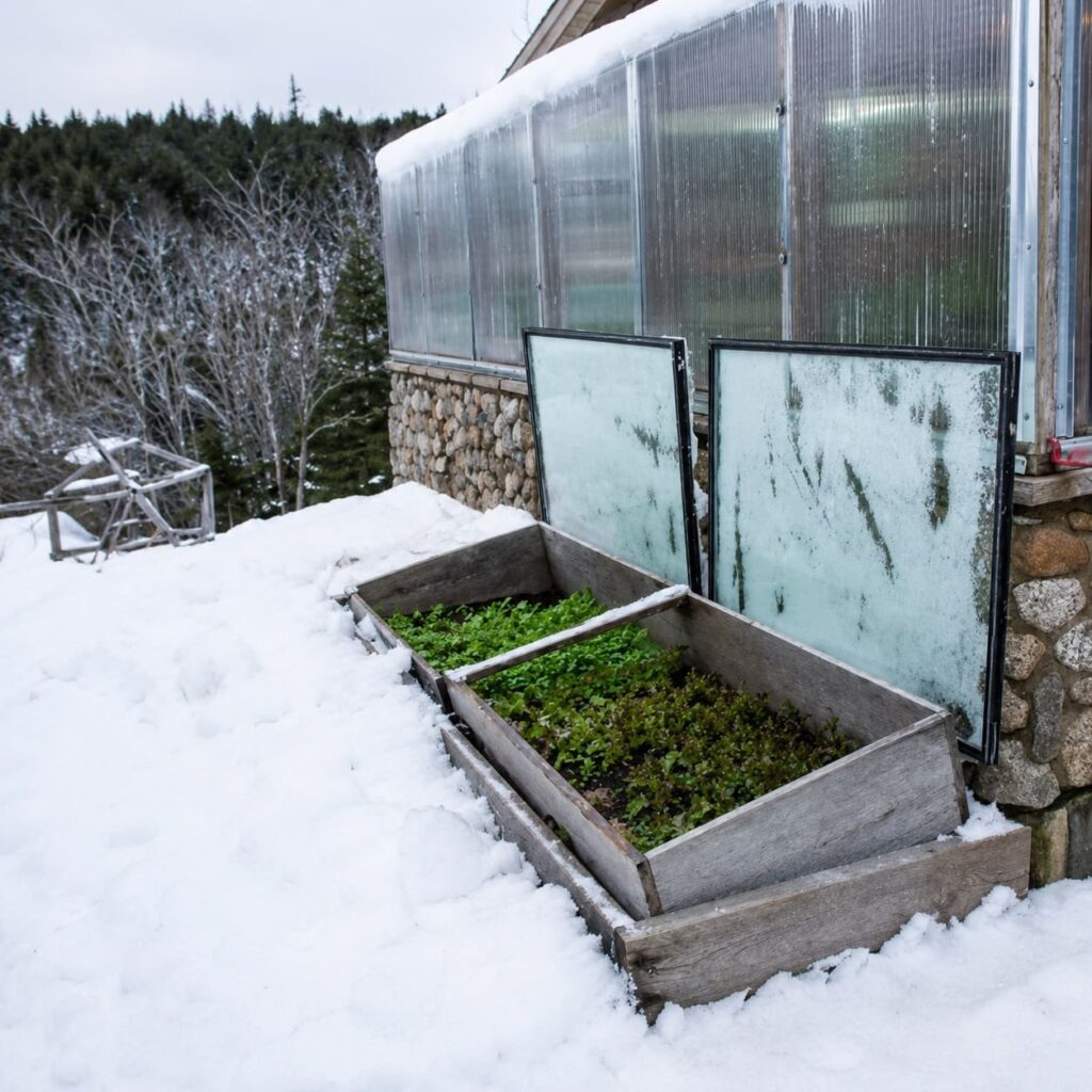How to Build a Cold Frame (and Actually Use It Right)