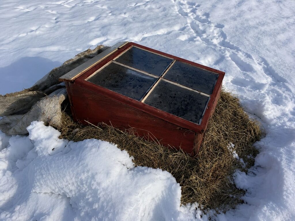 Cold Frame Hot Box How to Build a Cold Frame (and Actually Use It Right)