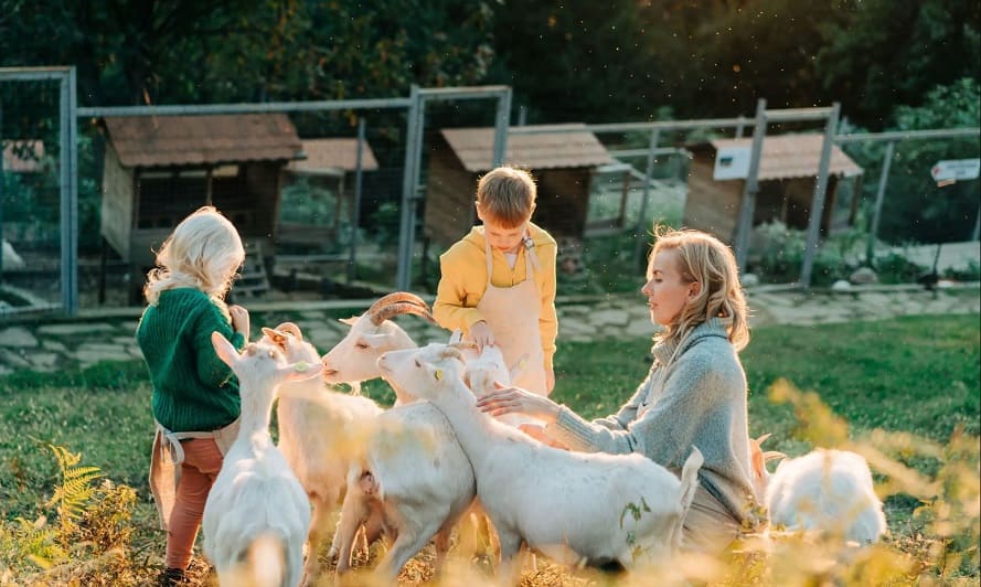 Engaging Kids in Homesteading
