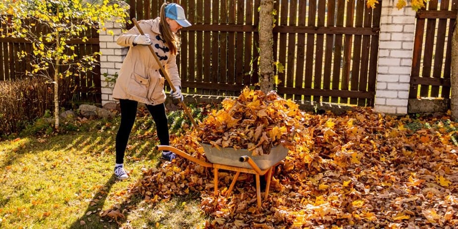 Maximizing Garden Health with Fallen Leaves