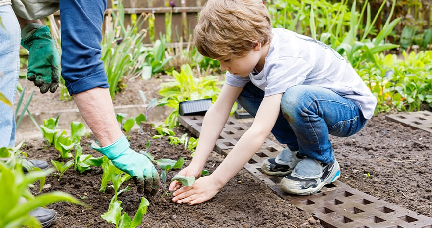 Creating a Kid-Friendly Vegetable Garden